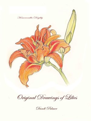 cover image of Original Drawings of Lilies